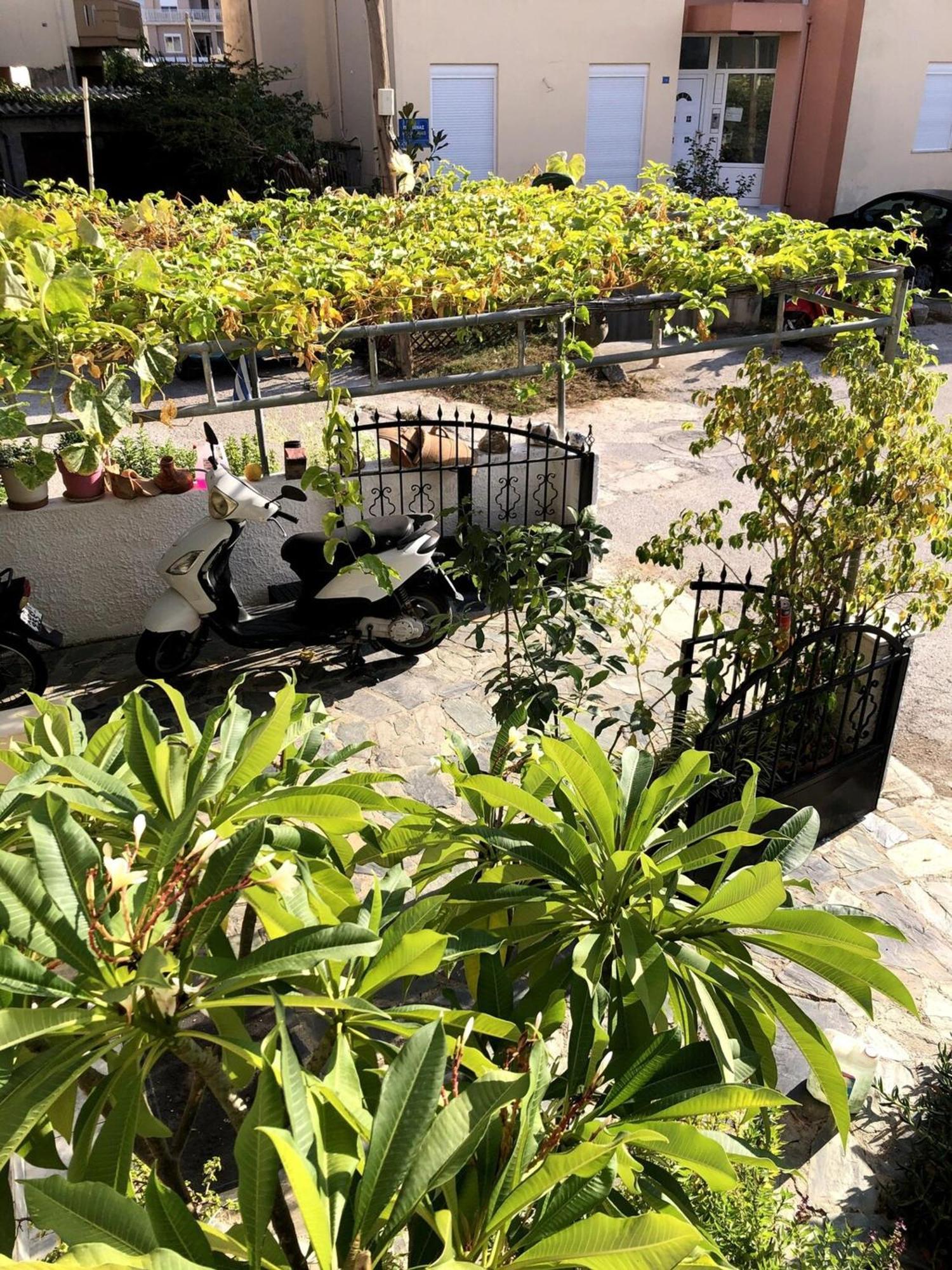 חאניה Rosy'S House With All Amenities Near Chania מראה חיצוני תמונה
